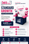 Standard Growth – Digital Marketing Package